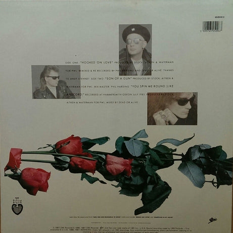 Dead Or Alive : Hooked On Love (12", Single)