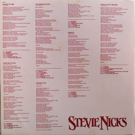 Stevie Nicks : The Other Side Of The Mirror (LP)