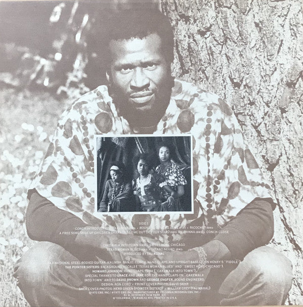 Taj Mahal : Recycling The Blues & Other Related Stuff (LP, Album, San)