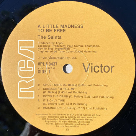 The Saints (2) : A Little Madness To Be Free (LP, Album)