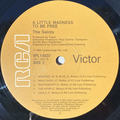 The Saints (2) : A Little Madness To Be Free (LP, Album)