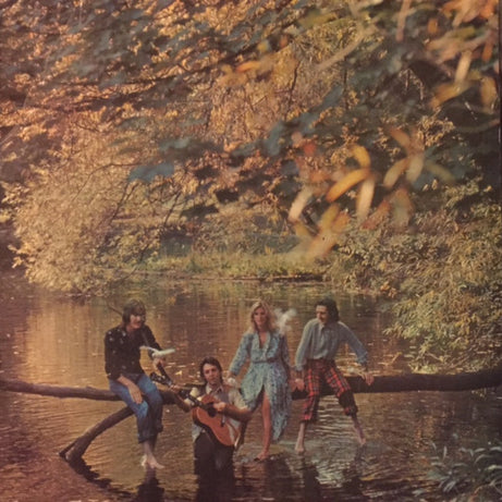 Wings (2) : Wild Life (LP, Album)