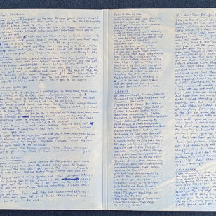 Courtney Barnett : Things Take Time, Take Time (LP, Album, Ltd, All)