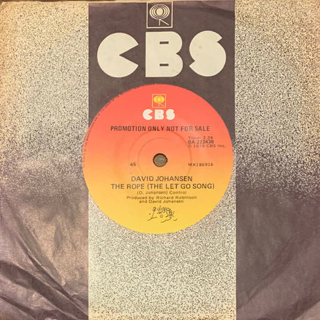 David Johansen : Funky But Chic / The Rope (The Let Go Song) (7", Single, Promo)