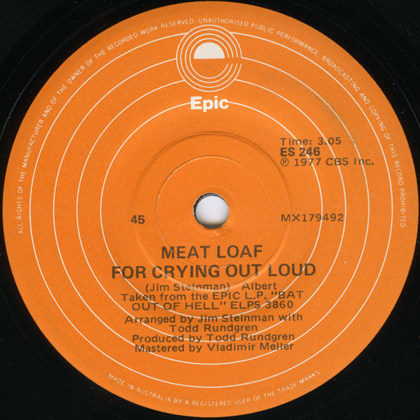 Meat Loaf : You Took The Words Right Out Of My Mouth (7")