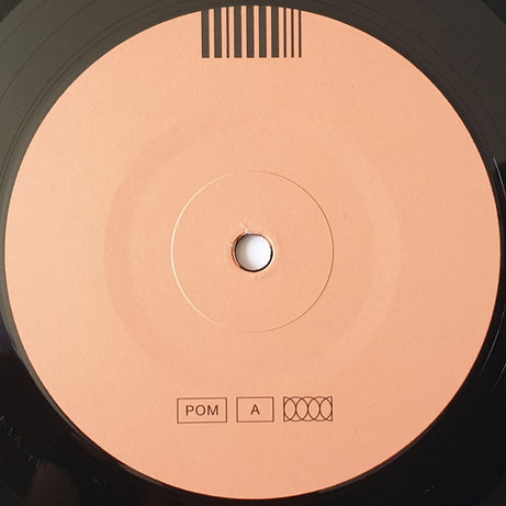 Spiritualized : Everything Was Beautiful (LP, Album)