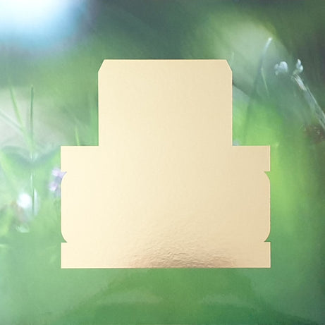 Spiritualized : Everything Was Beautiful (LP, Album)