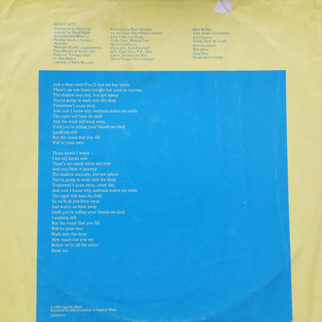 Matt Finish : Short Note (LP, Album)