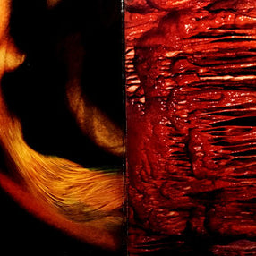 Rick Wakeman : Journey To The Centre Of The Earth (LP, Album, RP, Mon)