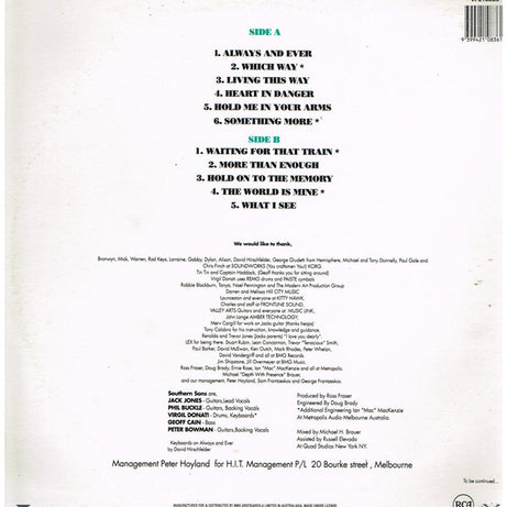 Southern Sons (2) : Southern Sons (LP, Album)