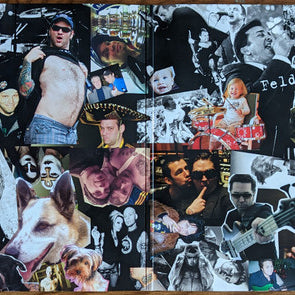 Goldfinger (7) : Hello Destiny (LP, Album, RSD, Ltd, RE, Gol)