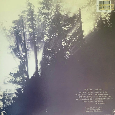 Dan Fogelberg : Nether Lands (12")