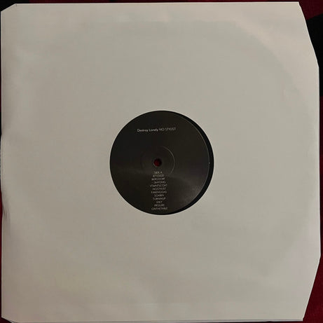 Destroy Lonely : No Stylist (LP, Mixtape)