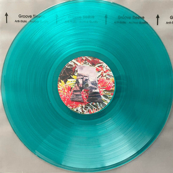 The Hard Aches : I Saw The Future (LP, Album, Tra)