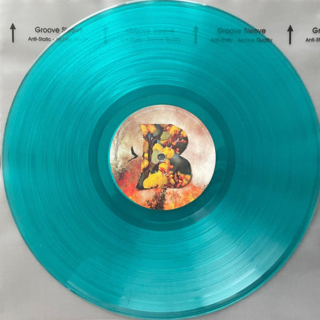The Hard Aches : I Saw The Future (LP, Album, Tra)