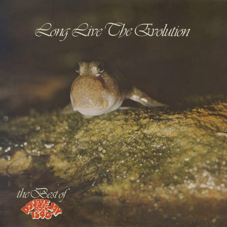 Various : Long Live The Evolution (LP, Album, Promo)