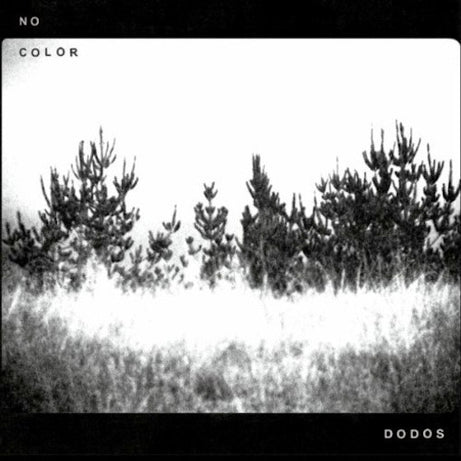 The Dodos : No Color (LP, Album)