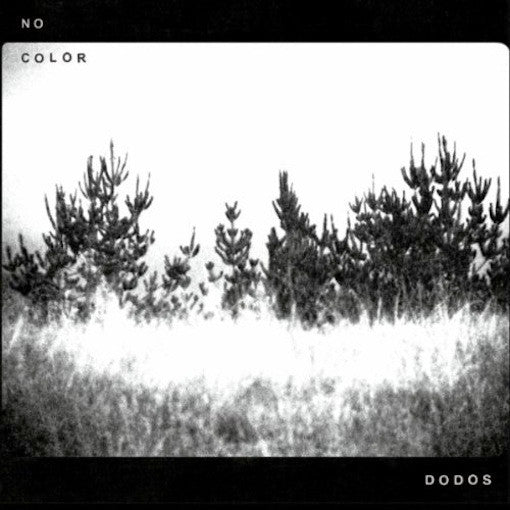 The Dodos : No Color (LP, Album)