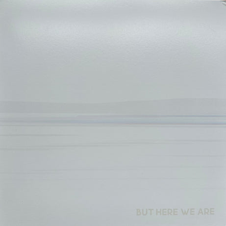 Foo Fighters : But Here We Are (LP, Album, RTI)