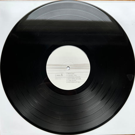 Foo Fighters : But Here We Are (LP, Album, RTI)