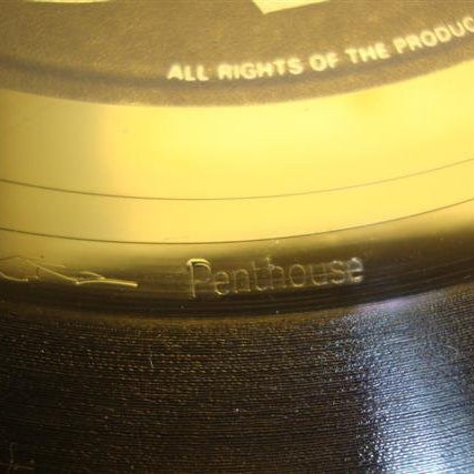 George Clinton : Do Fries Go With That Shake (7")