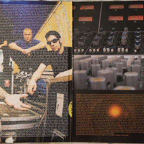 Limp Bizkit : Chocolate Starfish And The Hot Dog Flavored Water (LP, Gre + LP, Bro + Album, Ltd, RE, RM)