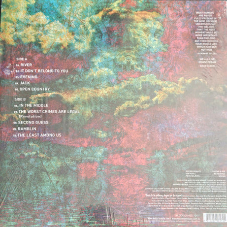 Ash Grunwald : Now (LP)