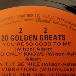 The Beach Boys : 20 Golden Greats (LP, Comp)