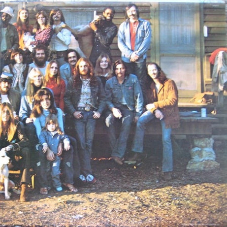 The Allman Brothers Band : Brothers And Sisters (LP, Album, San)