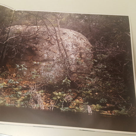 Miroslav Tadić / David Philipson / John Bergamo : Bracha (LP, Album, Gat)