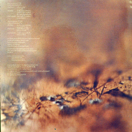 Tangerine Dream : Rubycon (LP, Album, Gat)