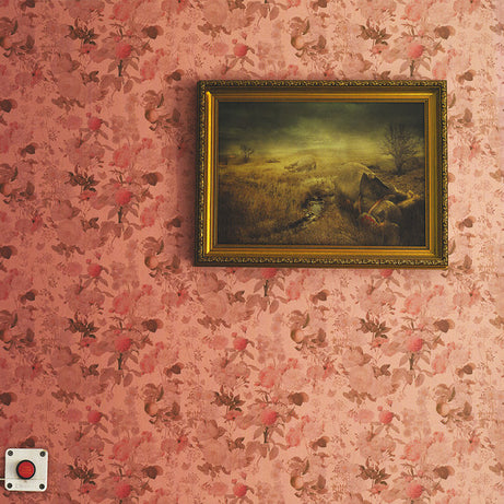 David McCormack And The Polaroids : Get Old (12", EP)