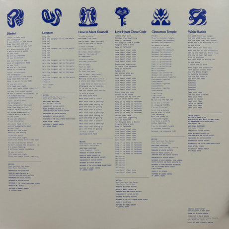 Hiatus Kaiyote : Love Heart Cheat Code (LP, Album, Blu)