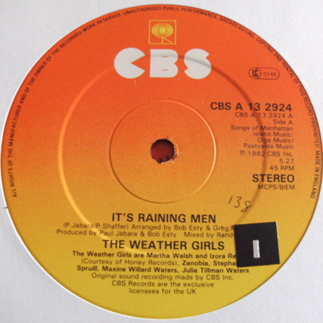 The Weather Girls : It's Raining Men (12")