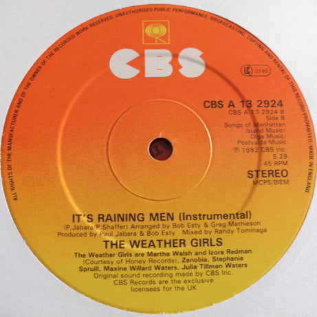 The Weather Girls : It's Raining Men (12")