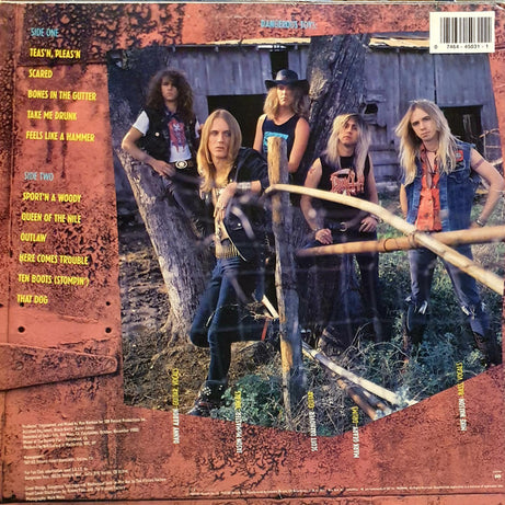 Dangerous Toys : Dangerous Toys (LP, Album)