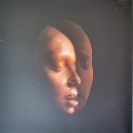 David Byrne & St. Vincent : Love This Giant (LP, Album, Gat)