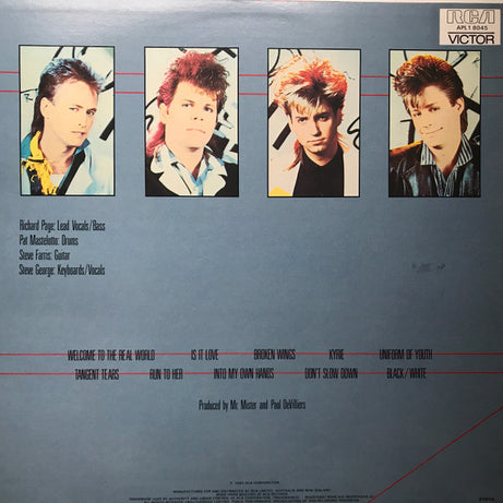 Mr. Mister : Welcome To The Real World (LP, Album)