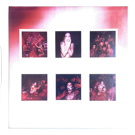 Velvet Bloom : Velvet Bloom (LP, Album)