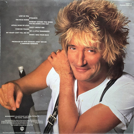Rod Stewart : Out Of Order (LP, Album)