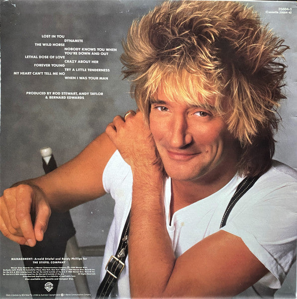 Rod Stewart : Out Of Order (LP, Album)