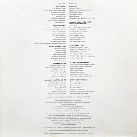 Rod Stewart : Out Of Order (LP, Album)