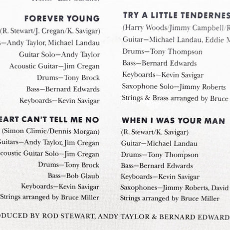 Rod Stewart : Out Of Order (LP, Album)