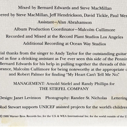 Rod Stewart : Out Of Order (LP, Album)