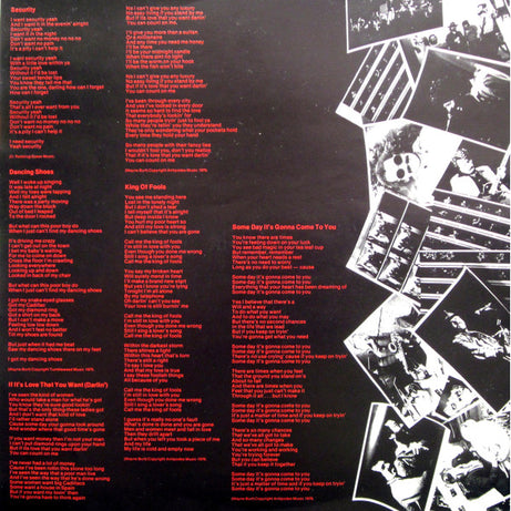 Jo Jo Zep and the Falcons : Don't Waste It (LP, Album)