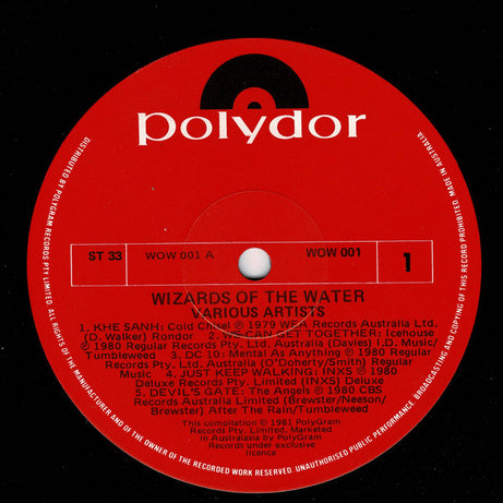 Various : Wizards Of The Water (LP, Comp)