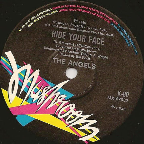 The Angels : Don't Waste My Time (7", Single)