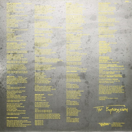 The Expression : The Expression (LP, Album)