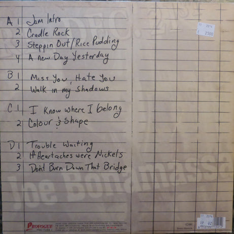 Joe Bonamassa : A New Day Yesterday Live (2xLP, RE)