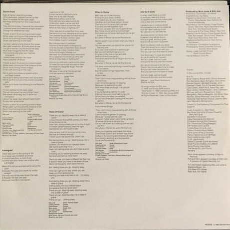 Billy Joel : Storm Front (LP, Album)